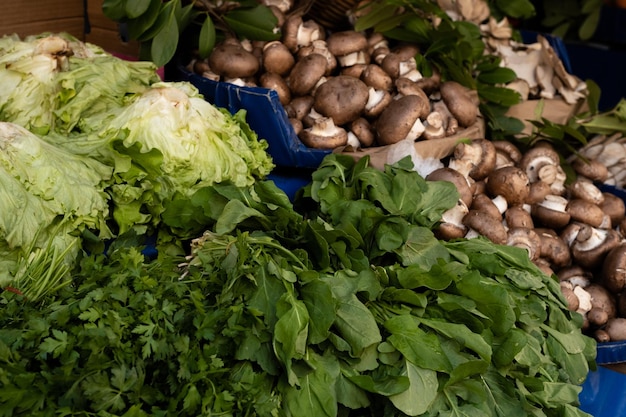 Supermarkt met verse gezonde vegetarische groenten en fruit Groene salade en champignons