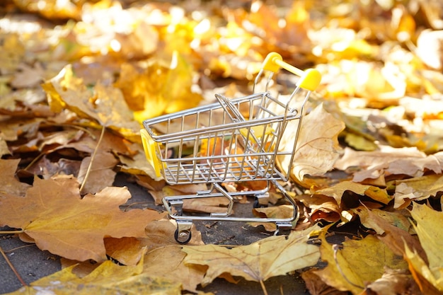 Supermarktkar in de herfstbladeren Herfstuitverkoop