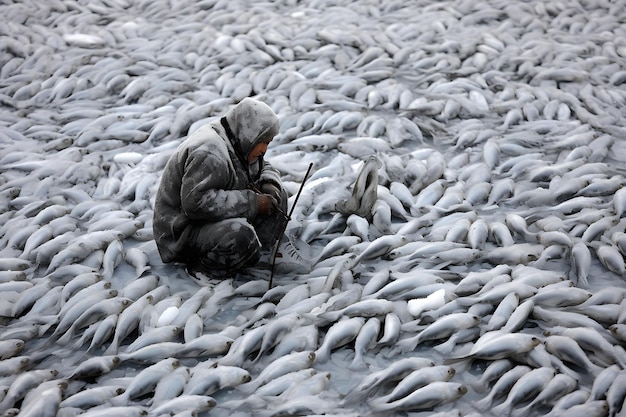 Supermarktmedewerker die bevroren vis voor de verkoop rangschikt