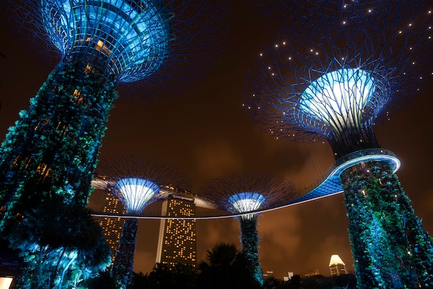 Фото Супердеревянный сад ночью в саду у залива, сингапур