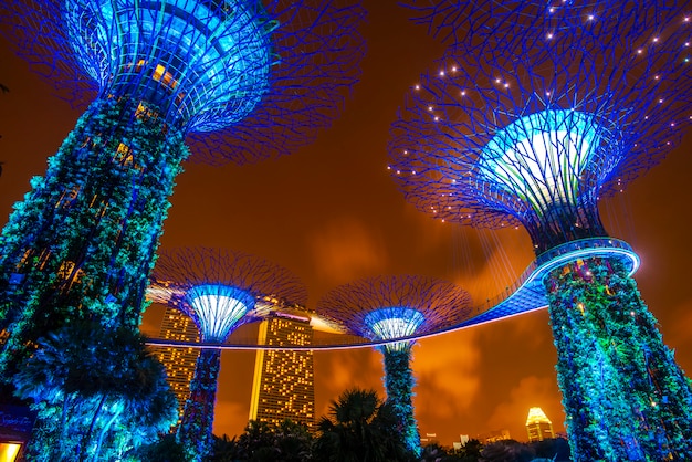 Supertree garden at night in Garden by the bay, Singapore