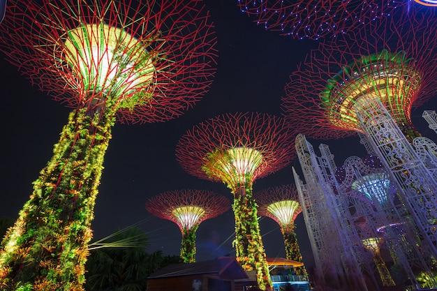 Supertrees bij Gardens by the Bay. De boomachtige structuren zijn aangebracht