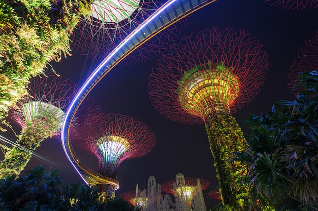 Supertrees bij Gardens by the Bay. De boomachtige structuren zijn aangebracht