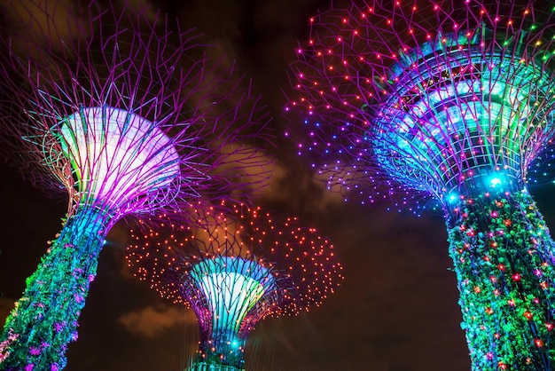 Supertrees grove in Gardens by the Bay in Singapore center. It is a music and light show when trees are illuminated by different colors