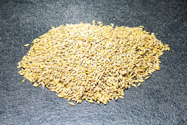 Fornire il concetto di grano vista dall'alto dei chicchi di grano su superficie grigio scuro