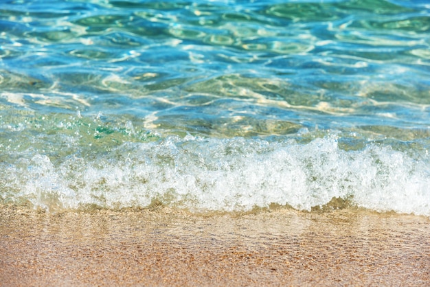 Surf on the beach. Hot sand and blue clear sea water on background