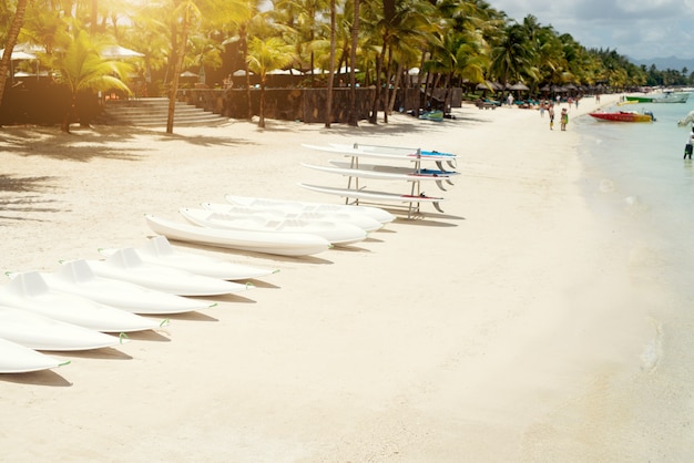 Surf boards at beach in a row ready for surfers. Tropical sunny day at Mauritius.