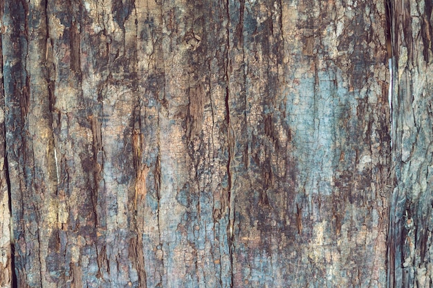 Surface of an ancient wood texture, background