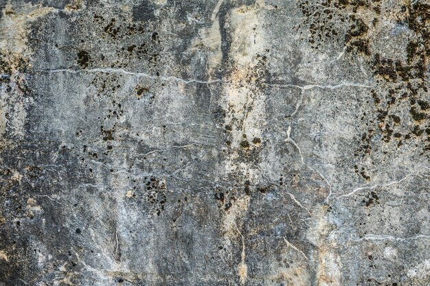 Surface of concrete gray wall of a military fortress in cracks covered with moss