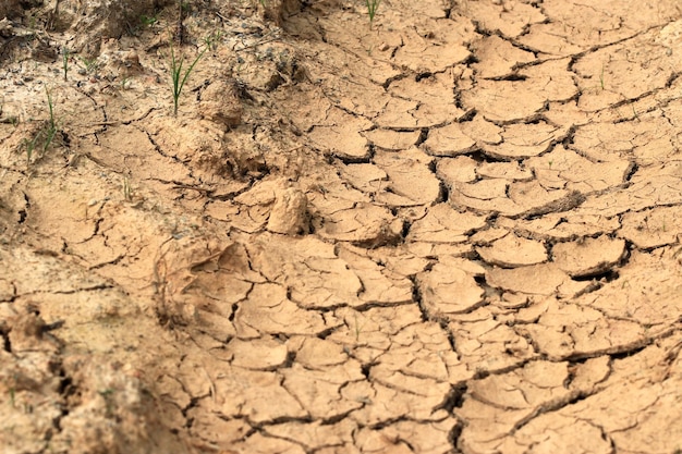 La superficie del terreno è secca e screpolata