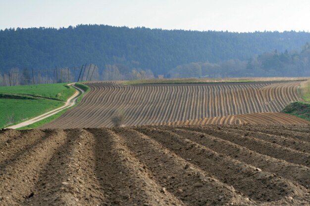 Foto livello di superficie del campo agricolo rispetto al cielo