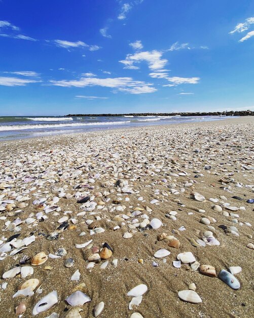 Surface level of beach against sky