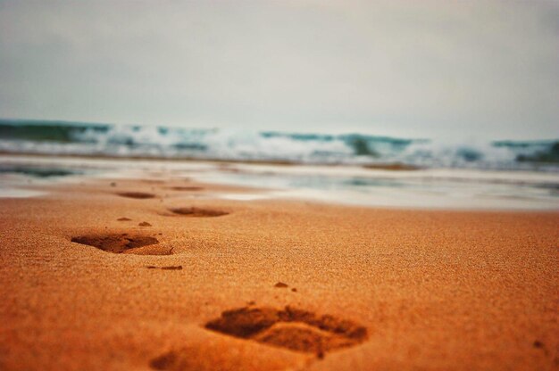 Surface level of beach against sky