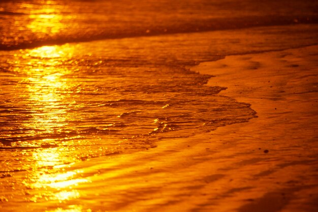 Surface level of beach