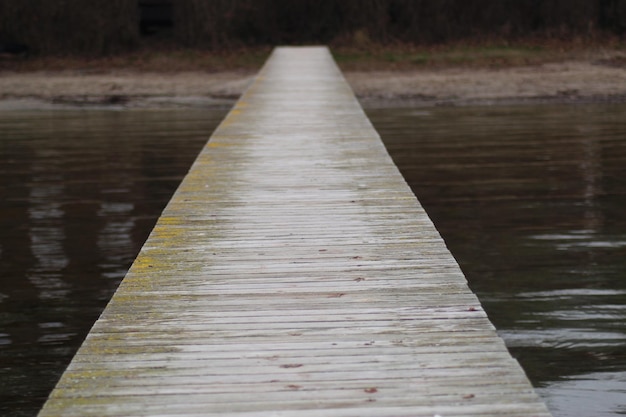 Photo surface level of boardwalk over lake