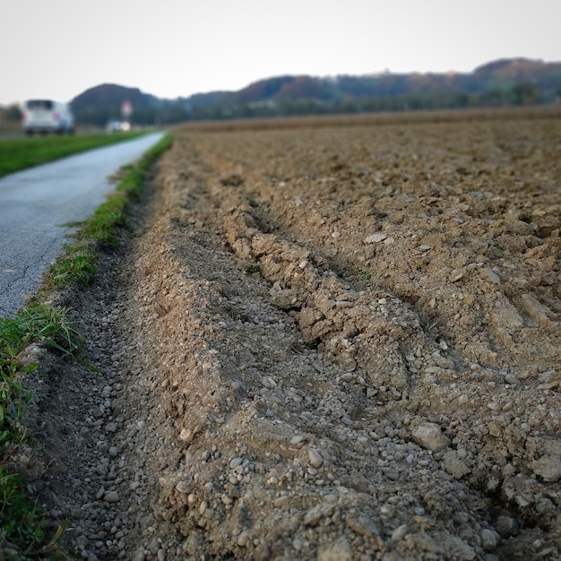 surface level of dirt road on field against sky