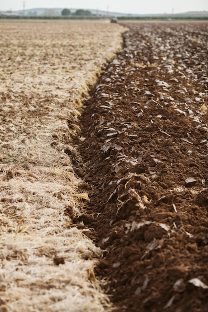 Foto livello della superficie della strada di terra sul campo