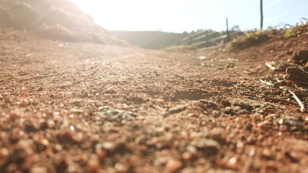 Surface level of dirt road during sunny day