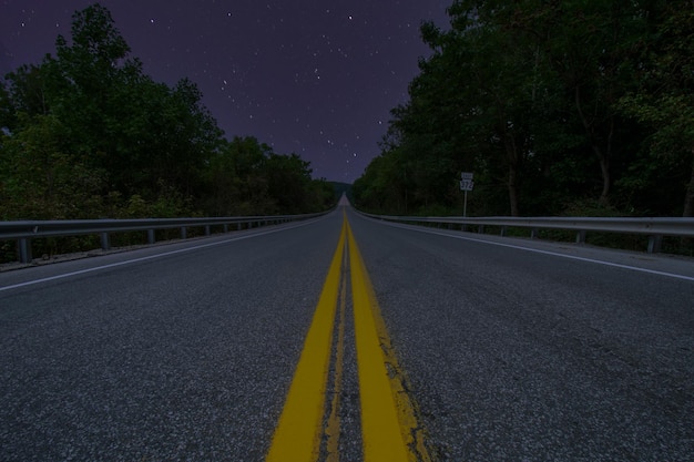 Foto livello della superficie della strada vuota lungo gli alberi