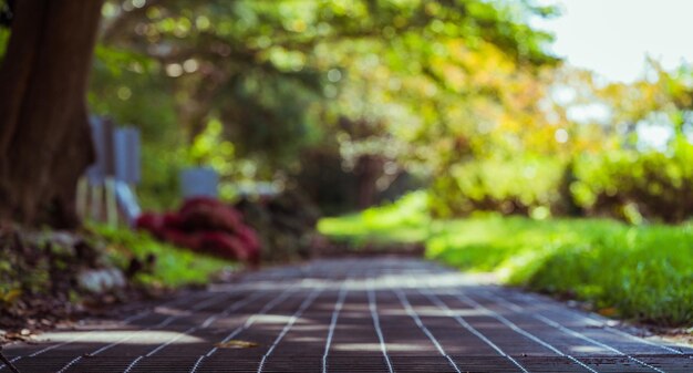 Photo surface level of footpath in park