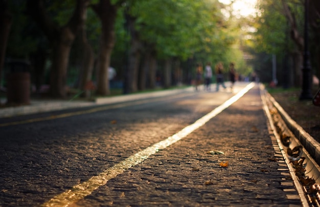 Surface level of footpath