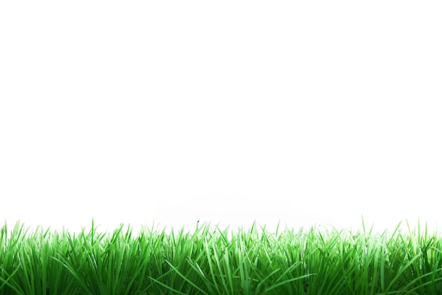 Surface level of grass against white background