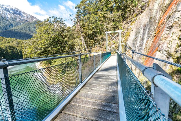 写真 晴れた日の木々に対する歩道橋の表面レベル