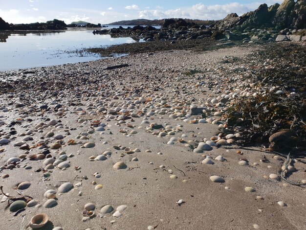 Фото Уровень поверхности камней на пляже на фоне неба