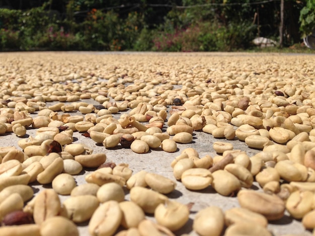 Photo surface level of pebbles