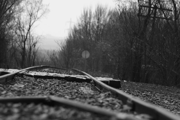 Photo surface level of railroad track in forest