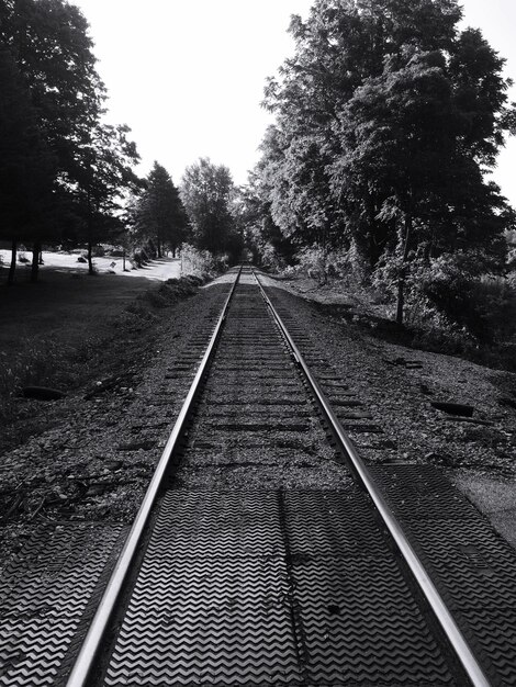 Photo surface level of railway tracks along trees