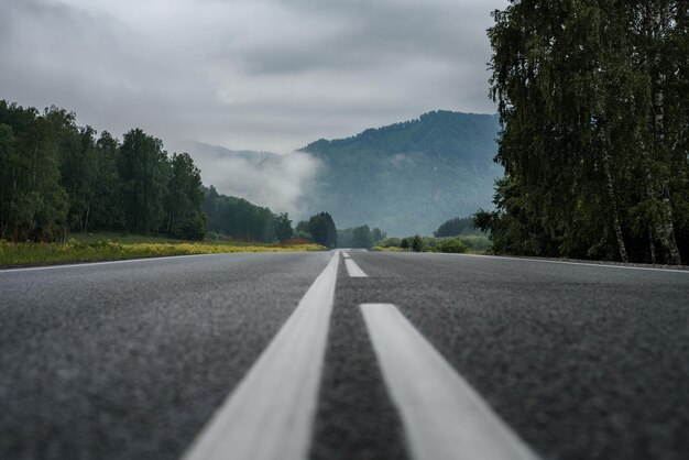 Surface level of road against trees and sky