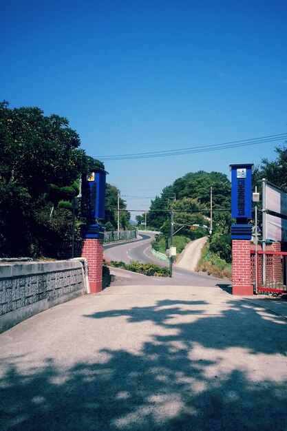 Surface level of road along trees