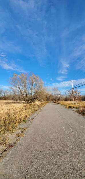 Surface level of road amidst landscape against blue sky