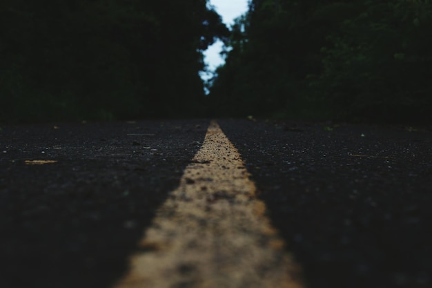 Photo surface level of road amidst trees