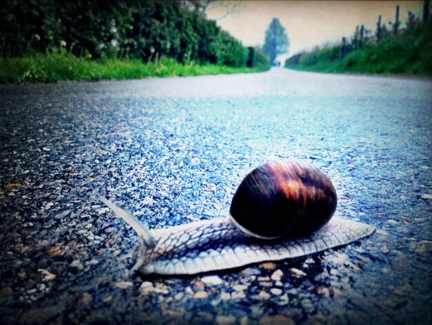 Foto livello della superficie della strada