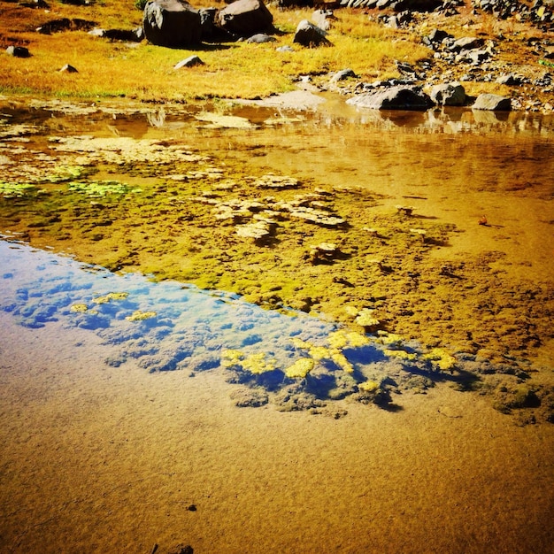 Photo surface level of shallow water on beach