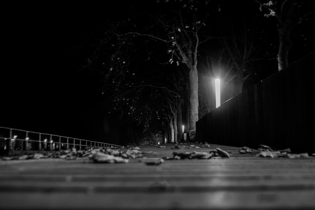 Surface level shot of street at night