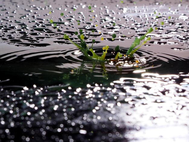 Foto livello superficiale di spruzzo in acqua