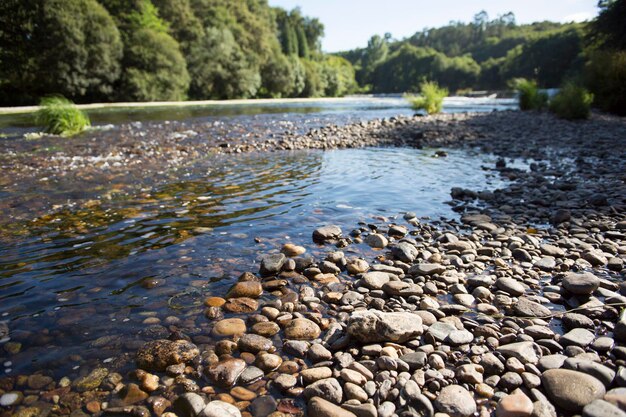 Surface level of stones in calm lake