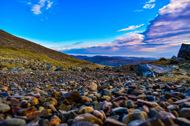 Surface level of stones on land against sky