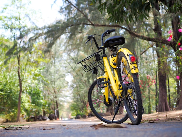 Photo surface level view of yellow bicycle parked on road at park