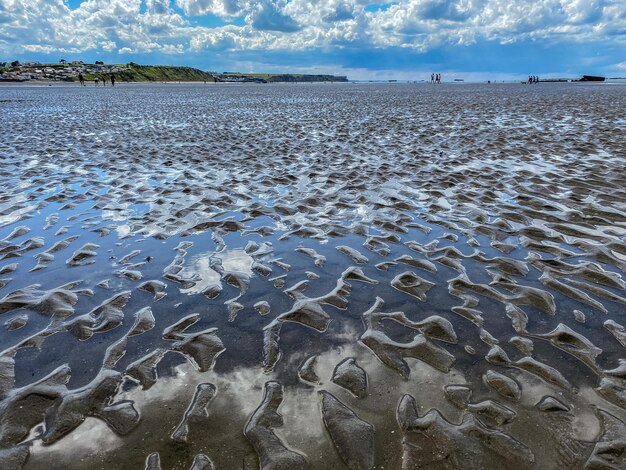 空に向かってビーチの湿った砂の表面レベル