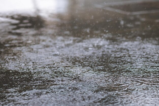 雨季の湿った街の表面レベル