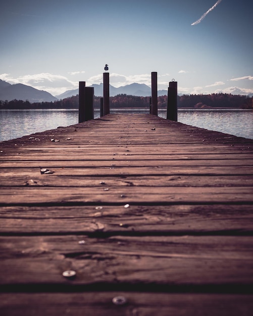 Photo surface level of wooden pier over sea against sky