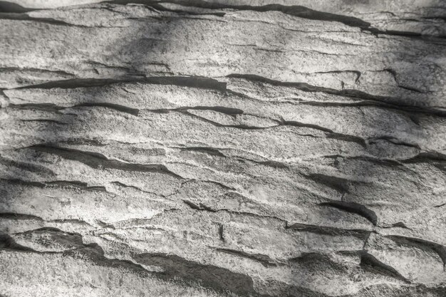 Photo surface of limestone stone rock wall with smooth pattern as black and white colorless background