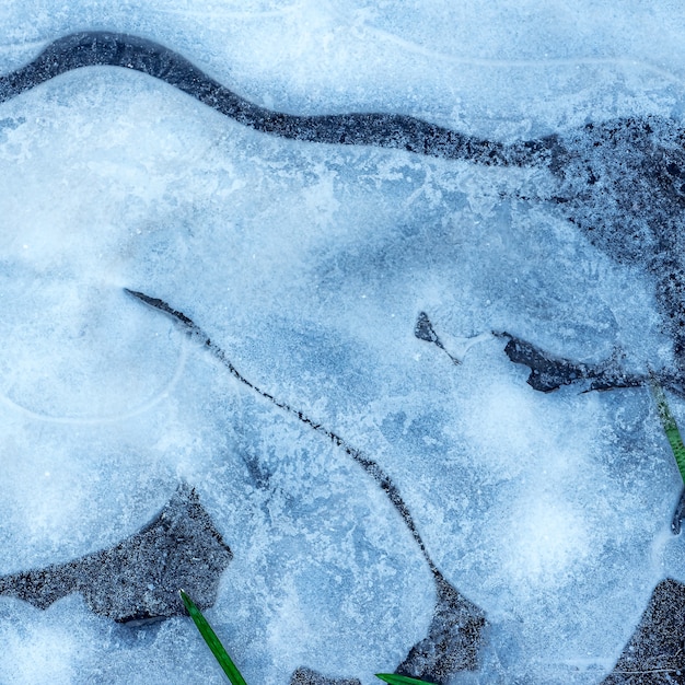 The surface of natural ice covering the puddle