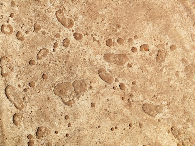 Photo surface old concrete ground
