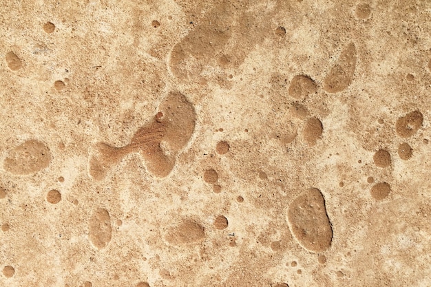 Photo surface old concrete ground