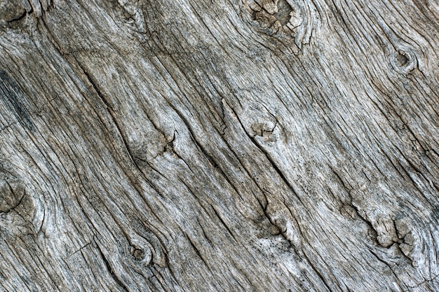 Surface of old weathered tree trunk with small trenches